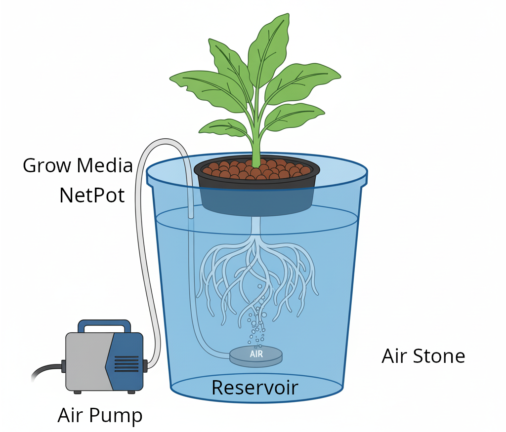 Deep Water Culture (DWC) system diagram